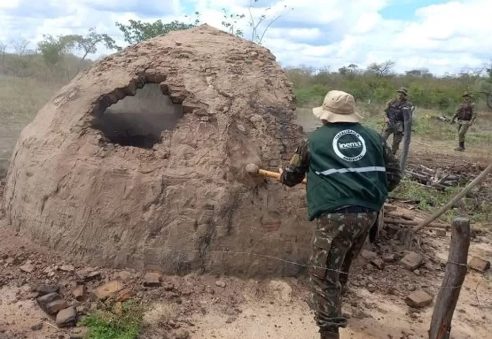 Inema e Polícia Ambiental desativam 12 fornos ilegais de produção de carvão no oeste baiano