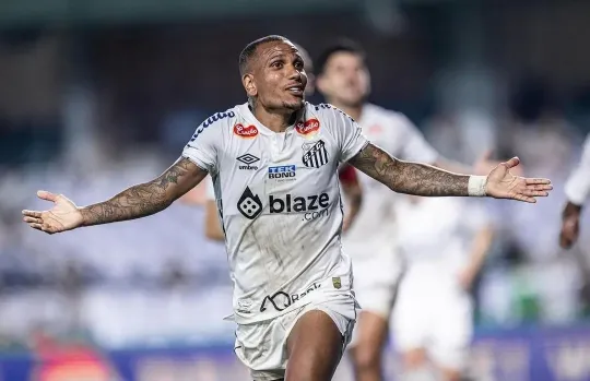 Santos vence o Coritiba e volta à Série A do Campeonato Brasileiro