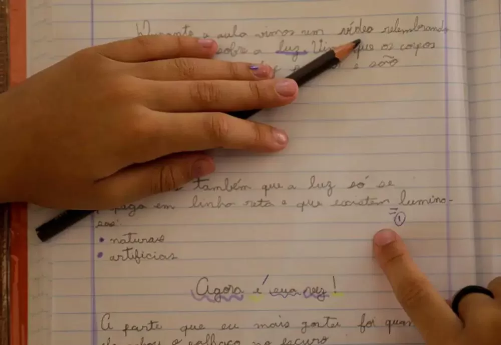 Cai percentual de estudantes que frequentam série escolar adequada