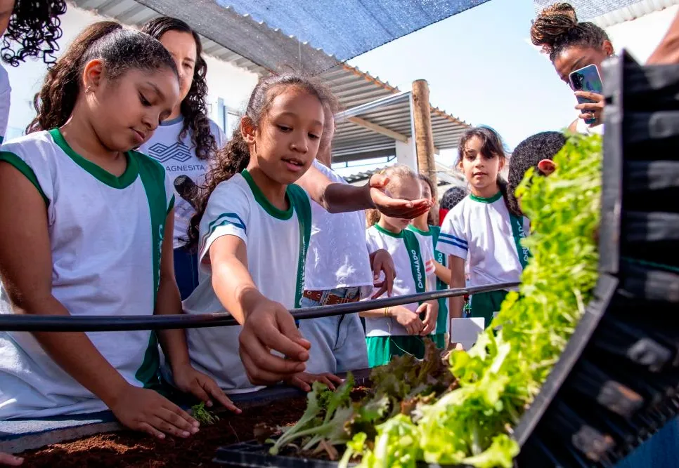 Projeto "Raízes do Saber" transforma horta em espaço de aprendizagem e sustentabilidade em Brumado