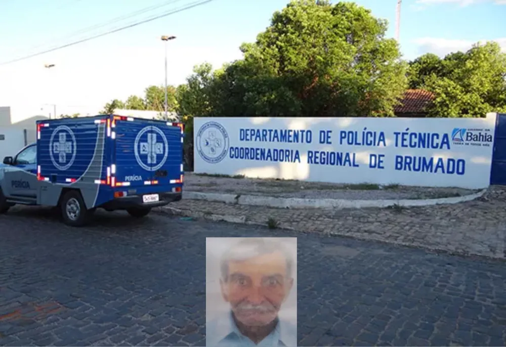 Idoso morre após ataque de abelhas em zona rural de Brumado