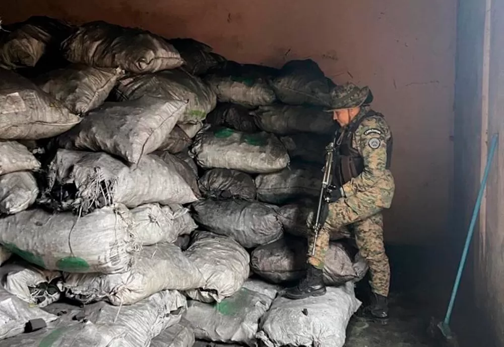 Vinte e cinco toneladas de carvão vegetal ilegal são apreendidas pela Cippa em 48 horas