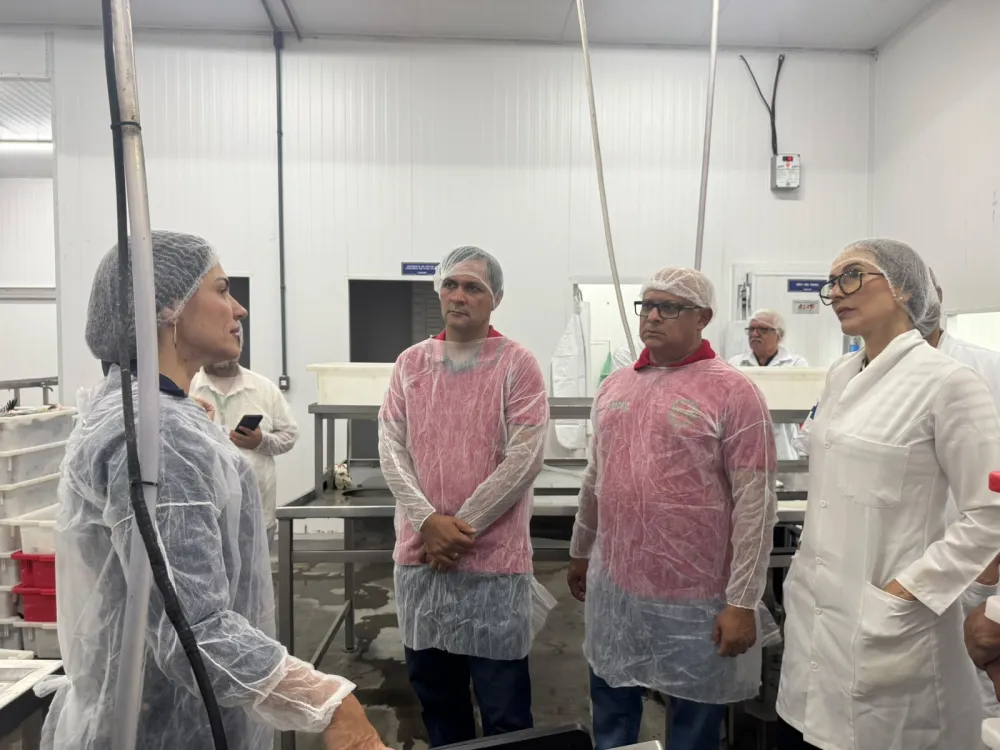 Agricultura familiar ganha novos mercados com certificação de empreendimentos de Malhada e Paramirim