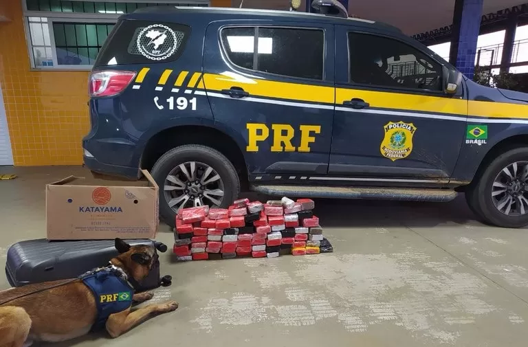 Tráfico de drogas: PRF localiza cerca de 57kg de maconha em bagagens