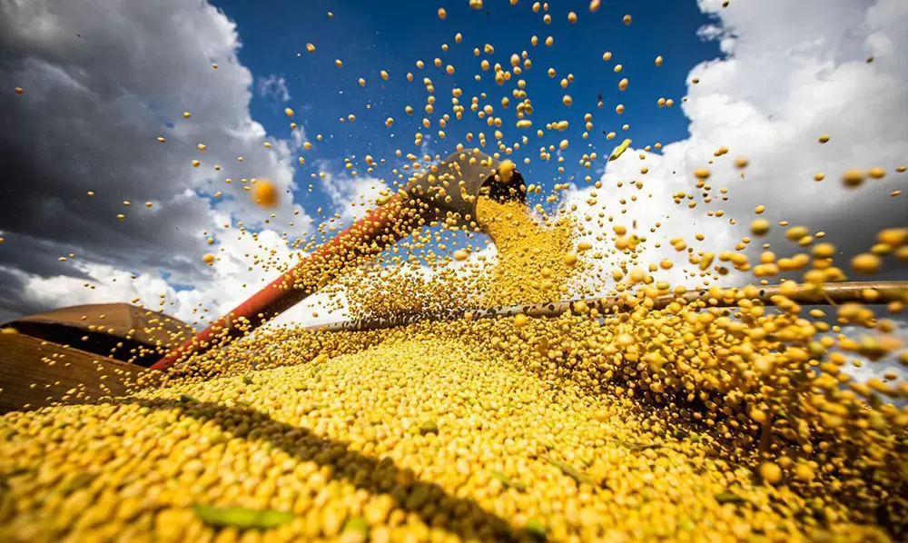 Produção agrícola brasileira superou R$ 927 bilhões em 2025