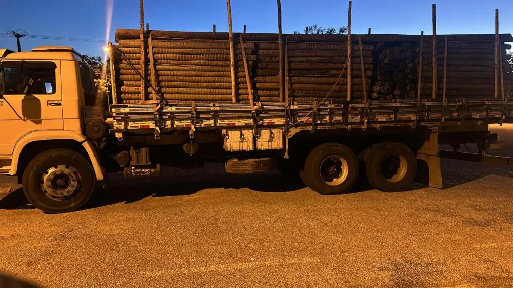 CIPRv/Brumado apreende carregamento de eucalipto sem nota fiscal