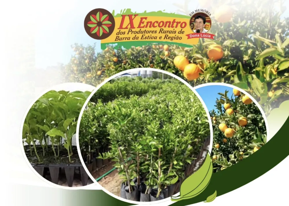 IX Encontro de Produtores Rurais de Barra da Estiva traz capacitação e incentivos para o campo