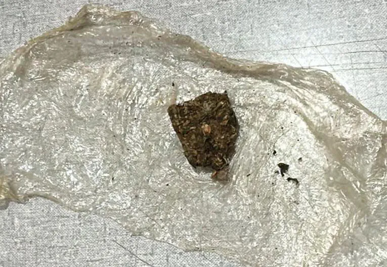 CIPRv/Brumado apreende entorpecentes durante abordagem em Tanhaçu