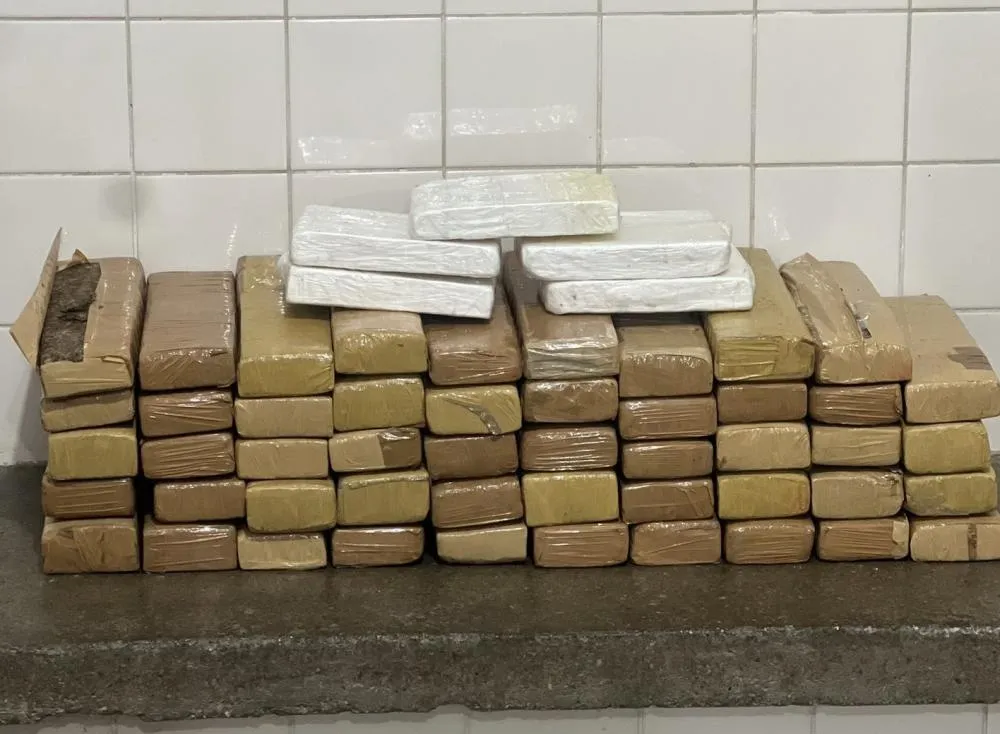 CIPRv/Brumado apreende 100 kg de drogas durante abordagem a ônibus em Tanhaçu