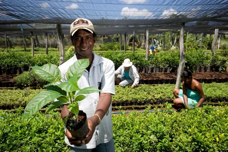 Na Bahia, órgãos públicos já contrataram mais de R$ 2,6 milhões de microempreendedores e agricultores familiares pelo Contrata+Brasil