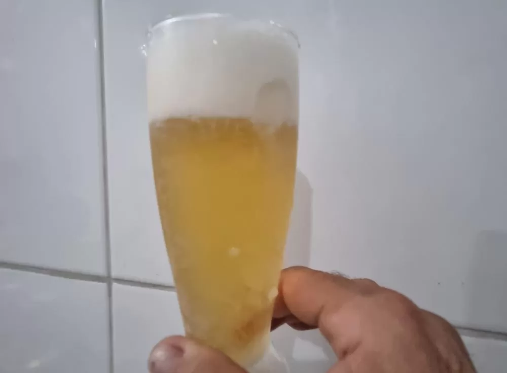 Uso abusivo de álcool entre brasileiras cresce 4,25% em dez anos