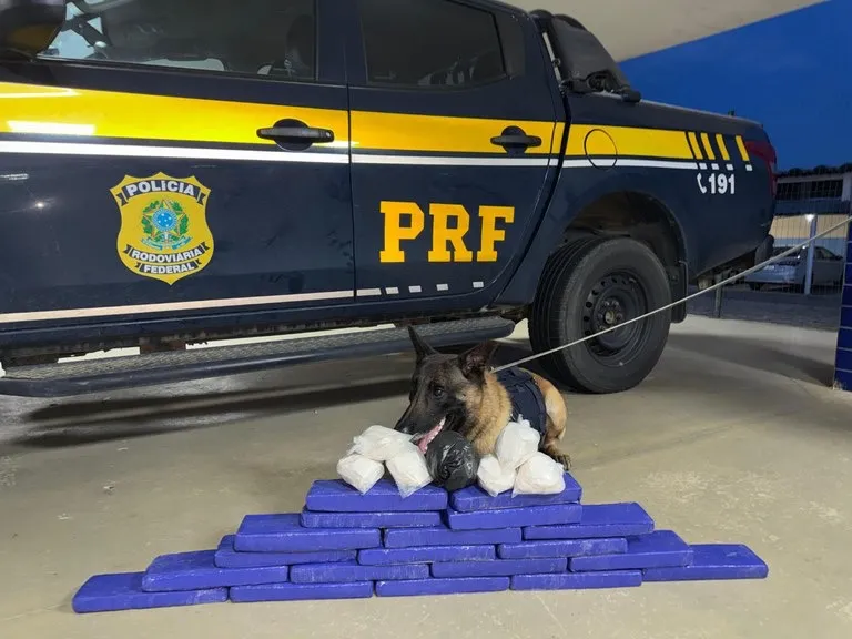 Operação Cão de Faro II: PRF apreende quase 15 kg de drogas em ônibus interestadual em Vitória da Conquista