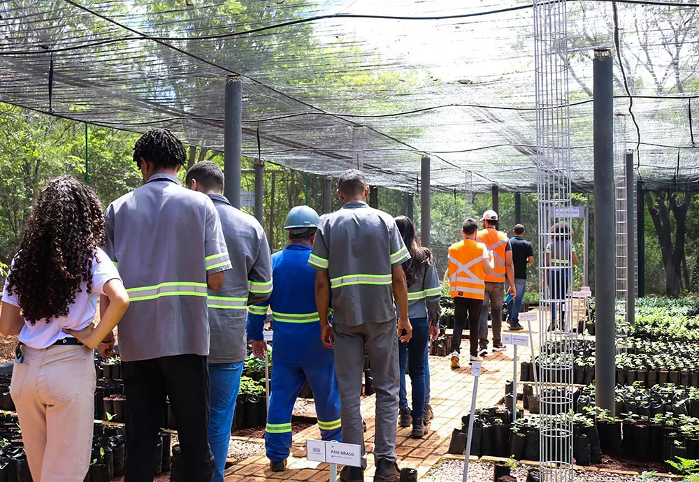 Mineradora distribui mais de 3 mil mudas em Brumado