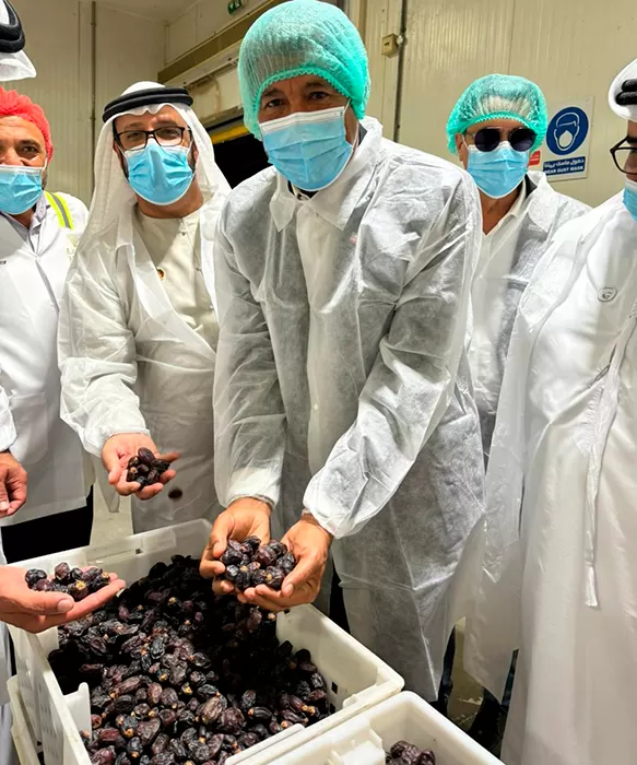 Nos Emirados Árabes, governador Jerônimo visita plantação de tâmaras que poderão ser produzidas na Bahia 