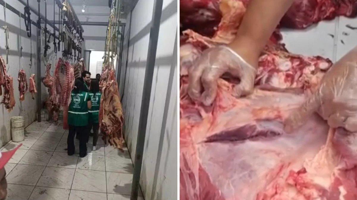 Adab apreende 100 kg de carne com tuberculose bovina em Ibicaraí