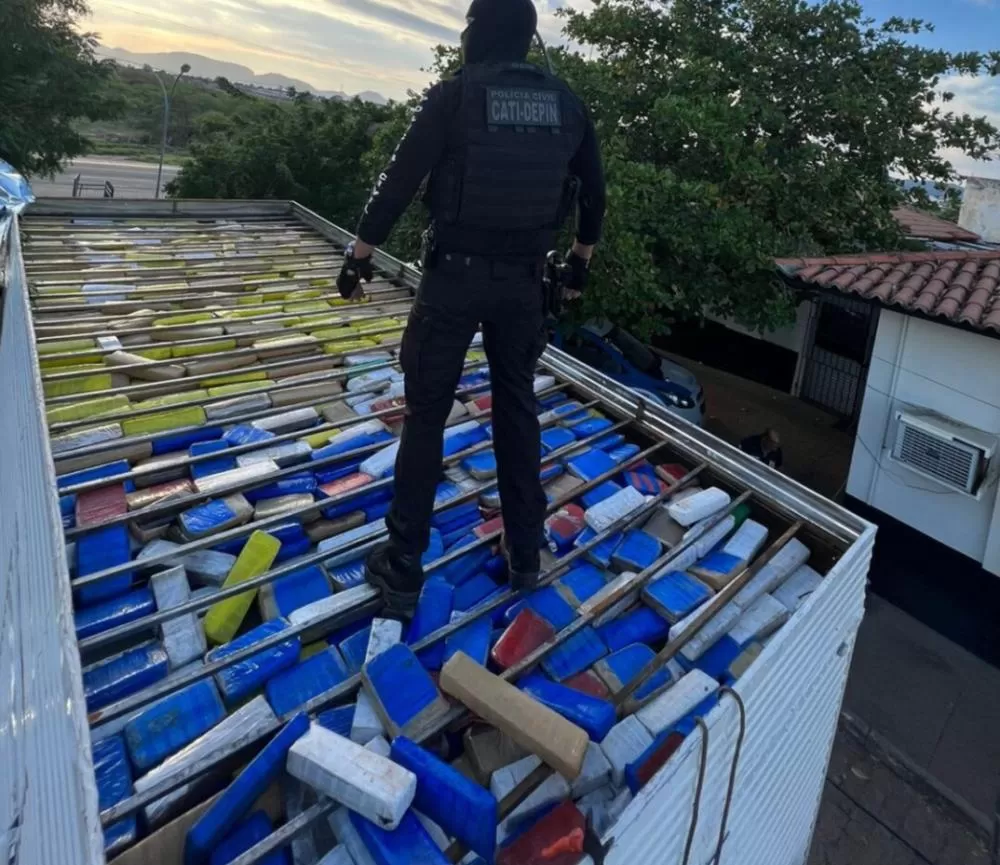 Polícia Civil apreende 600 kg de maconha na BR-030