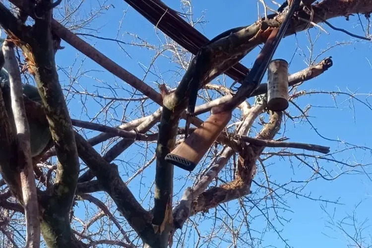 Homem morre após cair de estrutura improvisada para caça em Jacaraci