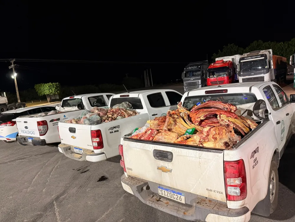 Quatro toneladas de produtos de origem animal são apreendidas em ação de fiscalização no Oeste da Bahia