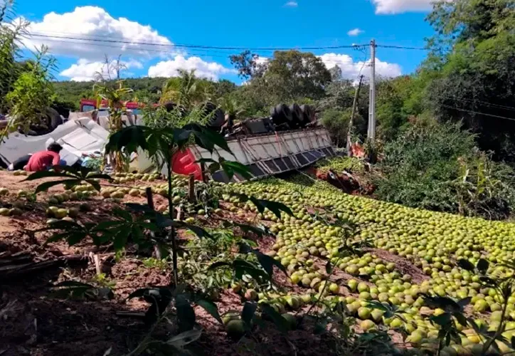 Caminhoneiro perde a vida em grave acidente na zona rural de Licínio de Almeida