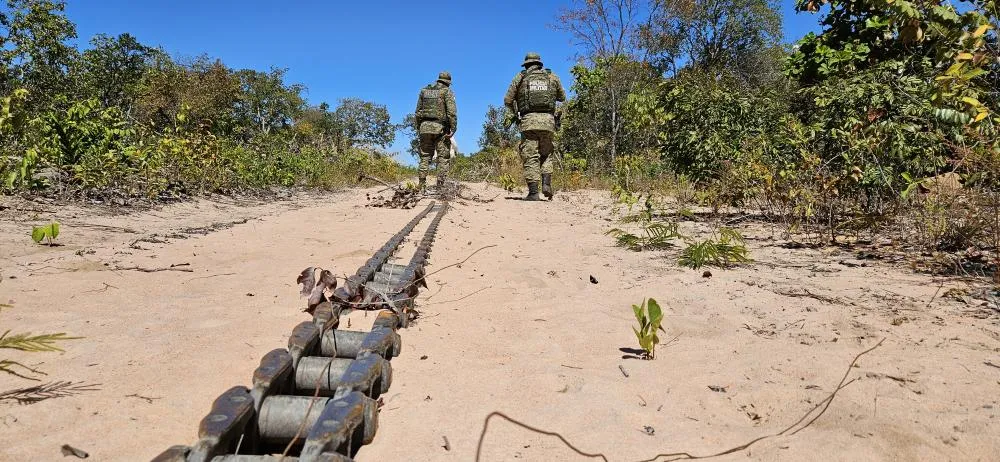 Com operações Intensivas de fiscalização, Bahia reduz desmatamento no cerrado em 52,4%