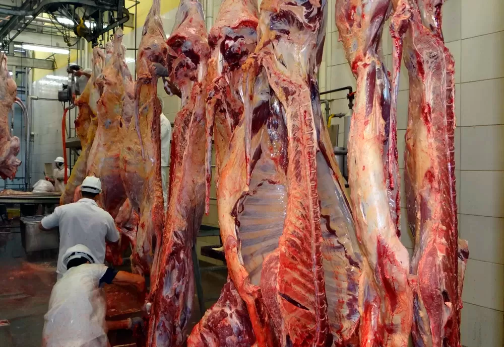 Conab: aumento na produção de carnes deve manter preços baixos
