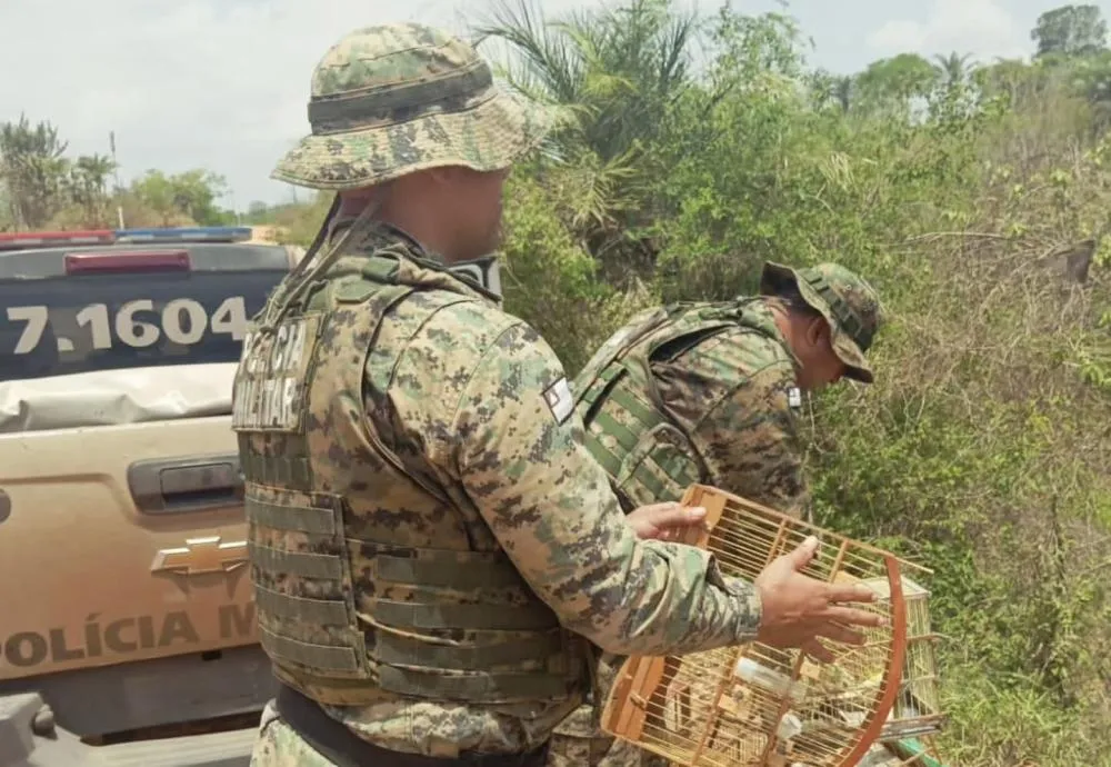 CIPPA/Lençóis intensifica ações de combate a crimes ambientais na Chapada Diamantina