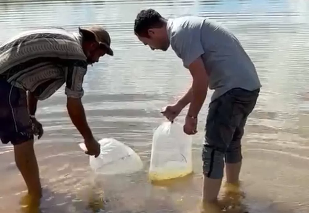 Na companhia de lideranças políticas Fabricio visita zona rural de Brumado