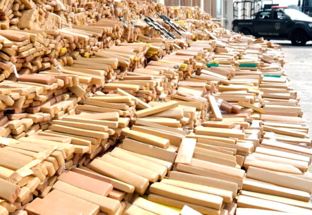 Polícia apreende 48 toneladas de maconha em operação histórica no Complexo da Maré, no Rio