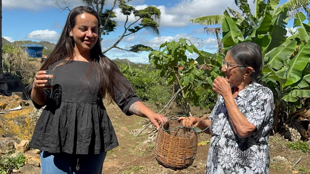 Entre Serras e Grãos: Rio de Contas celebra neste final de semana a cultura e a potência do café produzido no ponto mais alto do Nordeste