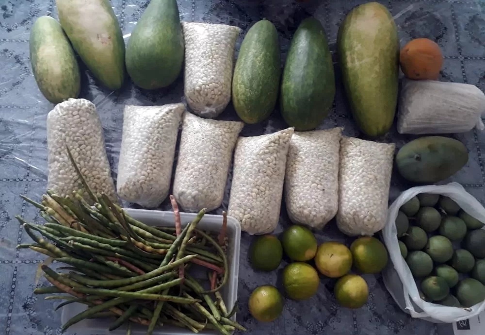 Produção de alimentos complementa renda de agricultores de Candiba