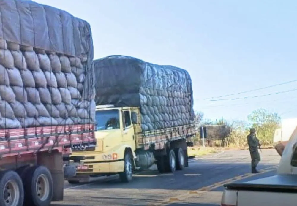 CIPPA/Lençóis apreende 1.800 sacos de carvão vegetal transportados ilegalmente em Riacho de Santana