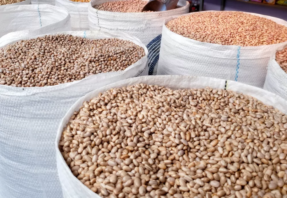 Produção de grãos na Bahia pode alcançar 11,0 milhões de toneladas em 2023 