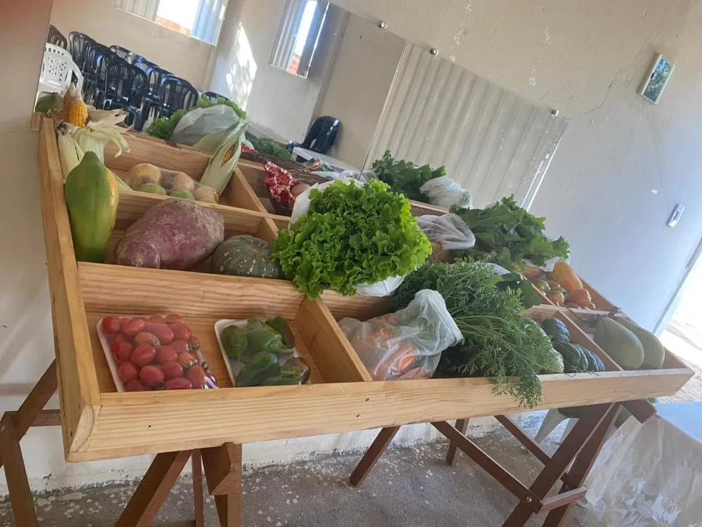 Projeto de quintais produtivos transforma realidade de famílias agricultoras em Urandi