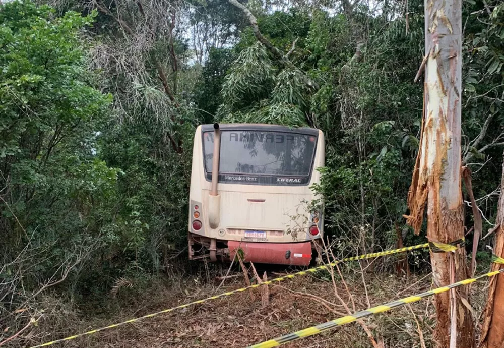 Barra da Estiva: Acidente na BA-900 resulta em vítima fatal após choque em árvores