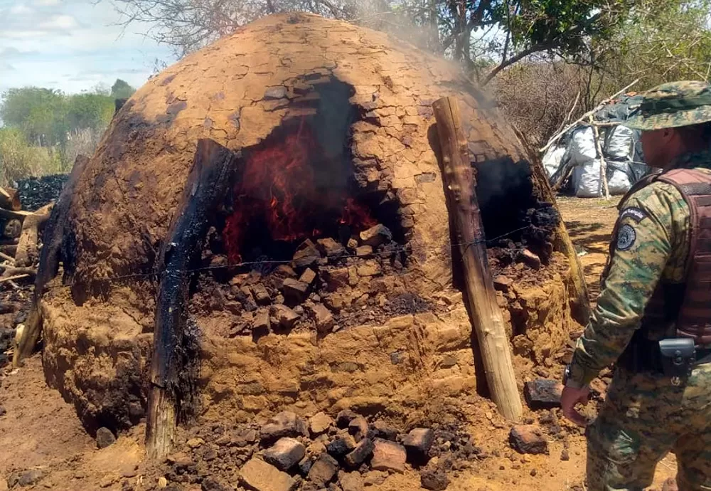 Operação Conjunta: Policia Ambiental e Inema apreendem toneladas de carvão e destroem forno no Sudoeste baiano