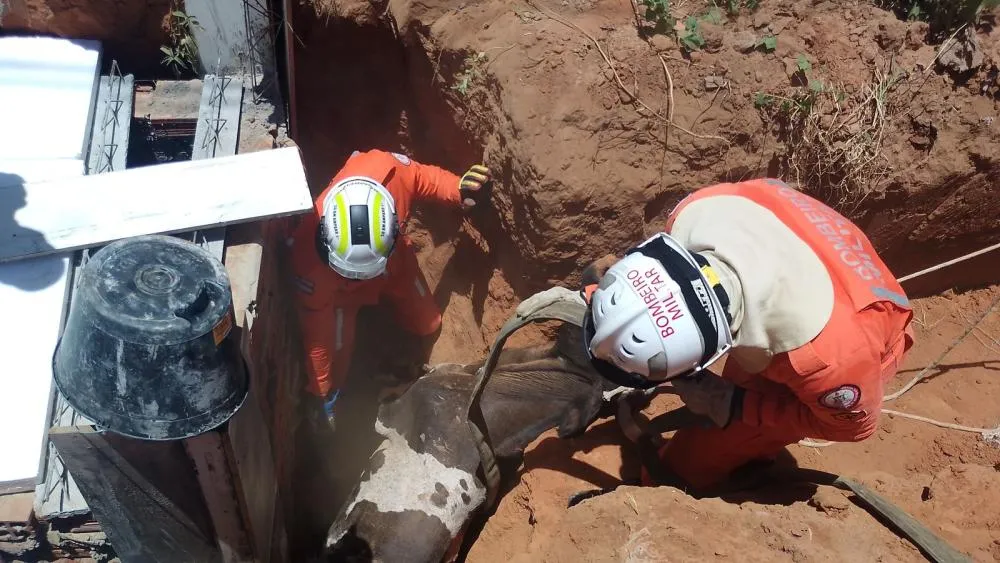 Bombeiros do 20º BBM resgatam vaca de fossa em Bom Jesus da Lapa