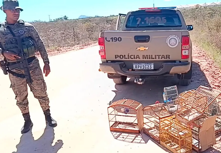 CIPPA/Lençóis resgata 28 aves silvestres durante ações ambientais na Bahia