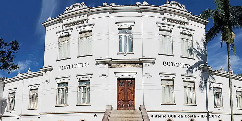 Butantan trabalha no desenvolvimento de vacina contra Zika para prevenir microcefalia em recém-nascidos