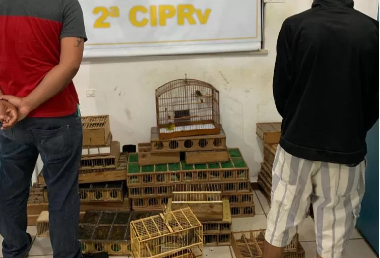 PRE detém homem acusado de tráfico de animais silvestres