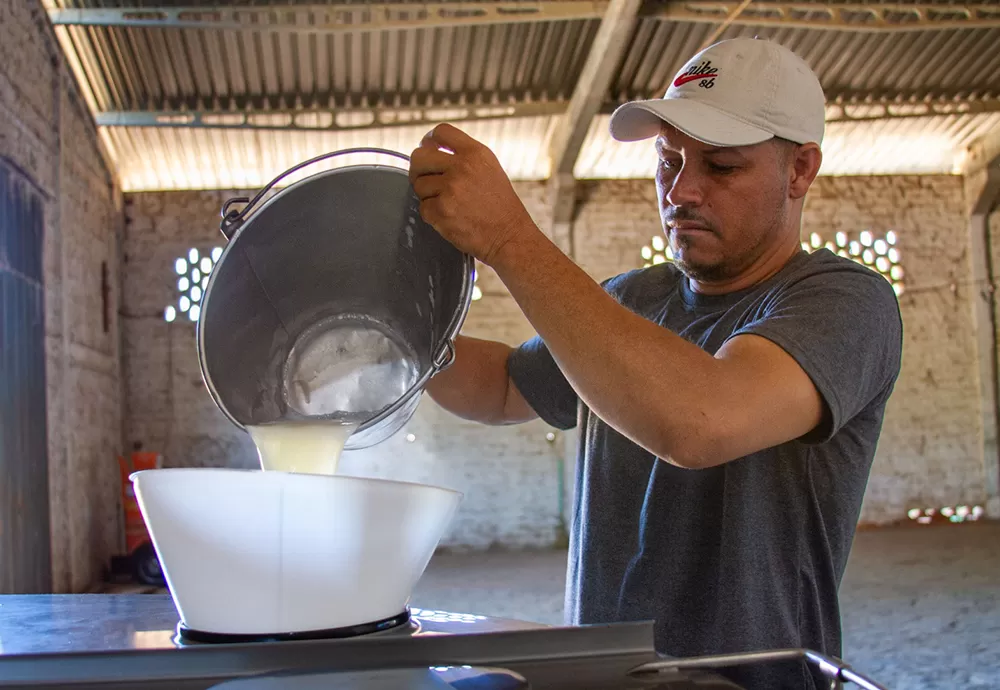 Bovinocultura de leite impulsiona economia de comunidade rural de Bom Jesus da Lapa