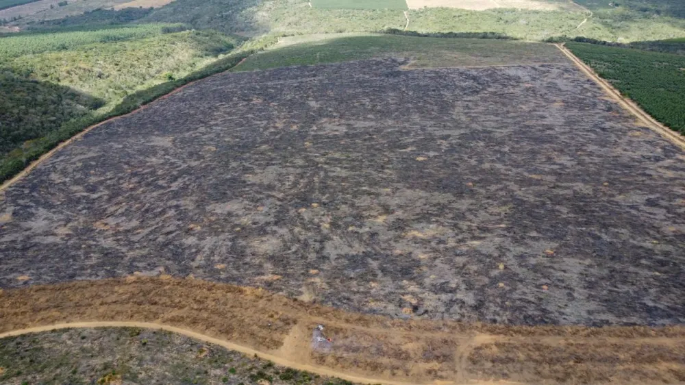 Operação Mata Atlântica: identificados mais de 200 hectares desmatados ilegalmente no litoral norte e sudoeste baianos
