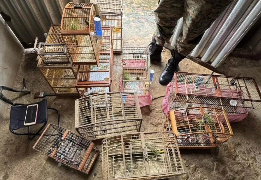 CIPPA/Lençóis intensifica fiscalização ambiental em Nova Redenção e Ibicoara