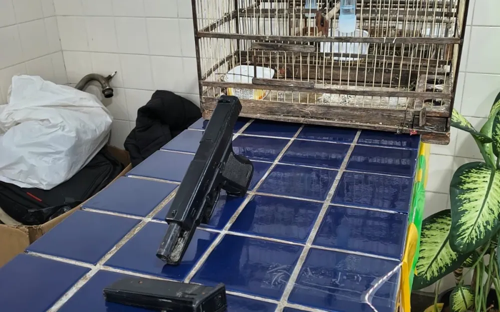 PM detém homem com simulacro de arma e pássaros silvestres após denúncias de ameaças em Brumado
