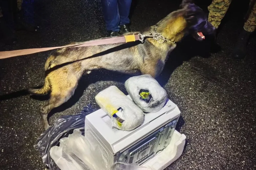 Cão farejador encontra drogas escondidas em forno micro-ondas durante fiscalização em Vitória da Conquista