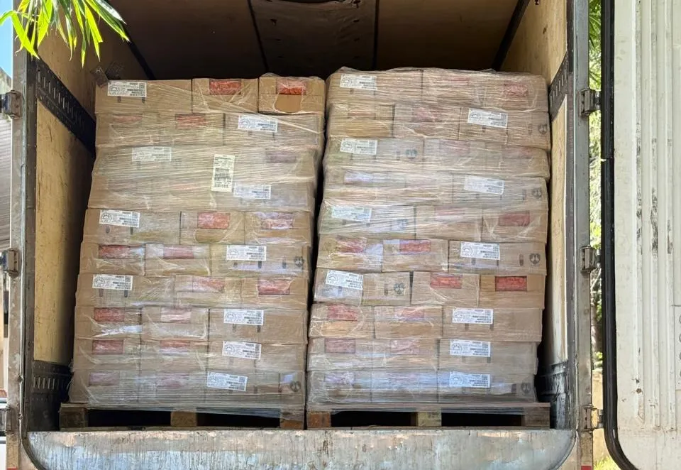 Caminhão com 25 toneladas de salsicha vencida é apreendido pela Polícia Civil na BR-324