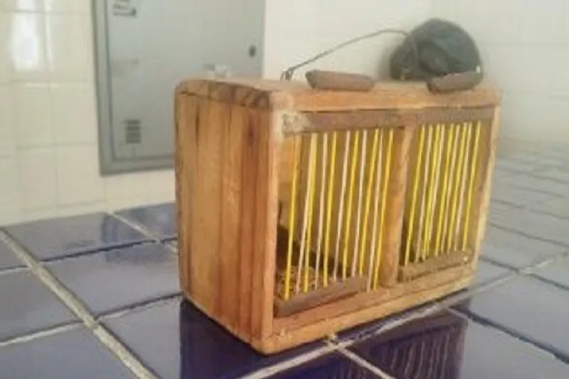 Fiscalização no terminal de Brumado impede transporte ilegal de aves silvestres