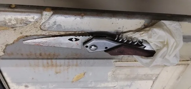 Mulher é presa por tentativa de homicídio em Guanambi