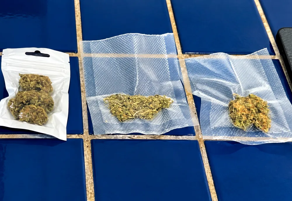 Jovem de 21 anos é detido com porções de maconha durante abordagem policial em Brumado