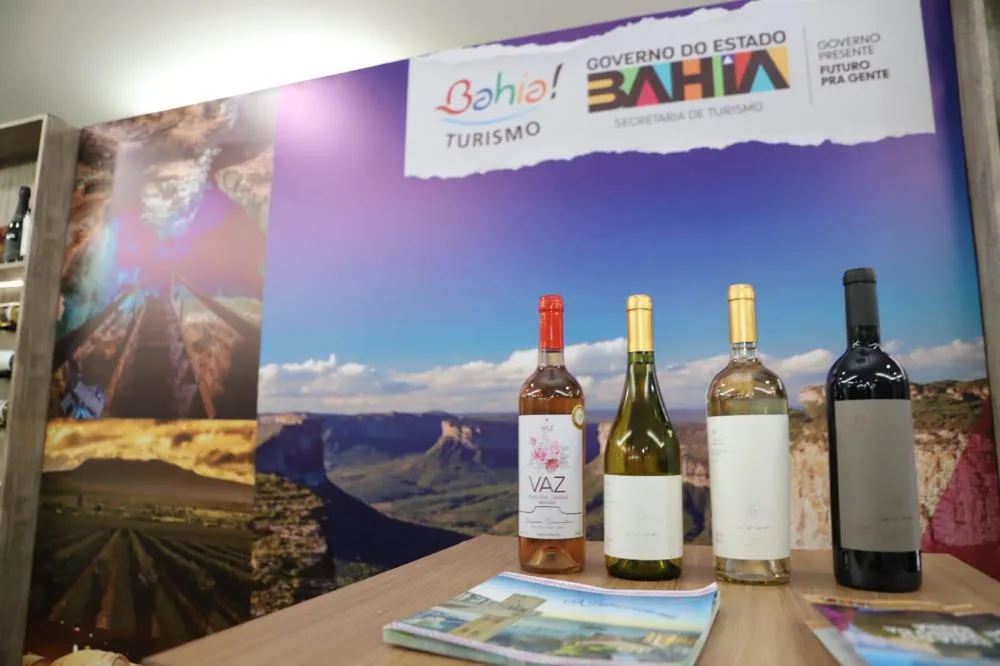 Rota do Vinho da Chapada Diamantina fortalece enoturismo na região