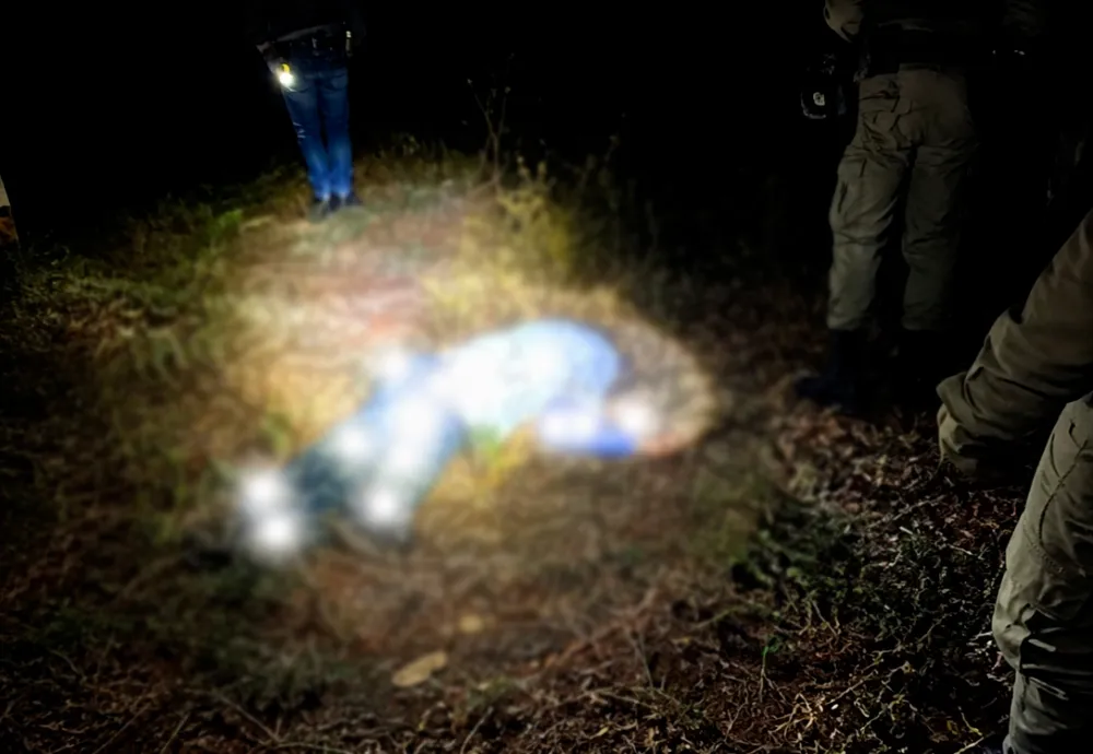 Idoso de 86 anos morre após provável ataque de abelhas em área rural de Guanambi